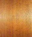 Wood species