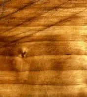 scratched wood