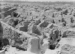 Bricks in raw earth
