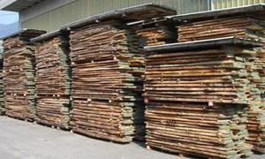 Wood drying for buildings