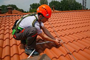 Roof buildings features