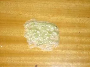 chemical stripping paint stripper