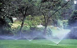 irrigation system