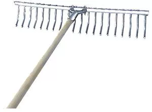 rake