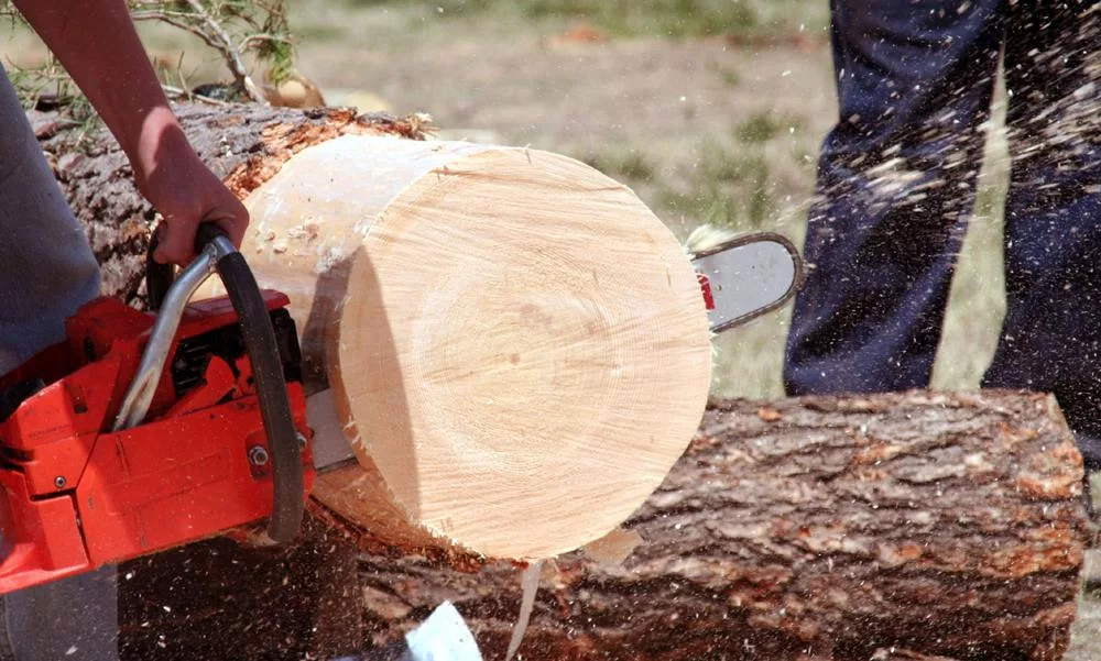 The Chainsaw