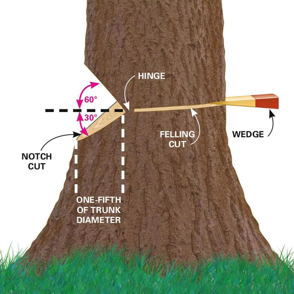 chainsaw
