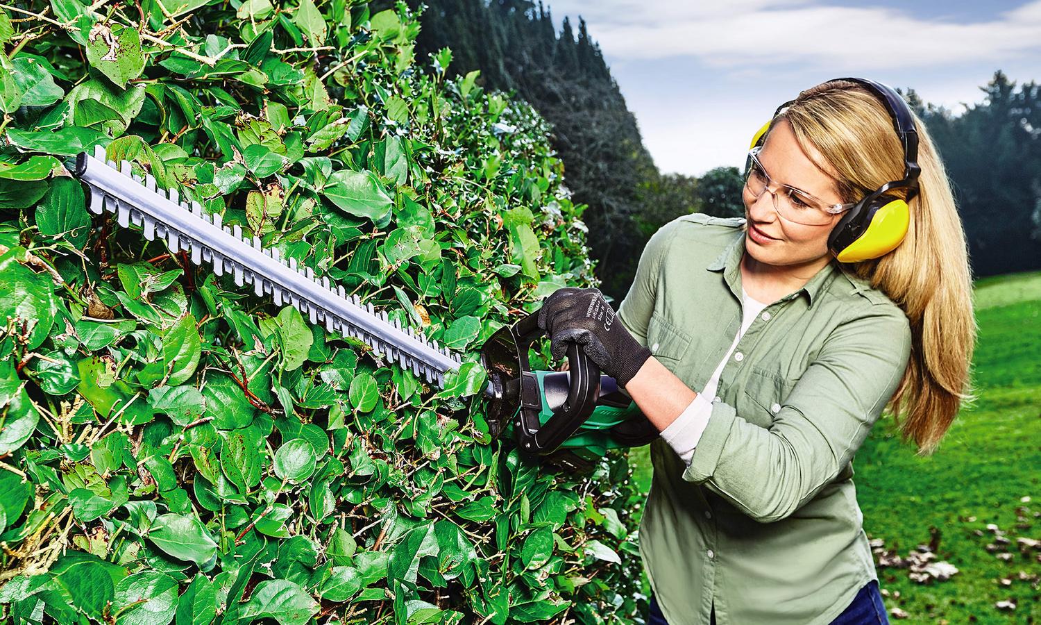 The Hedge Trimmer