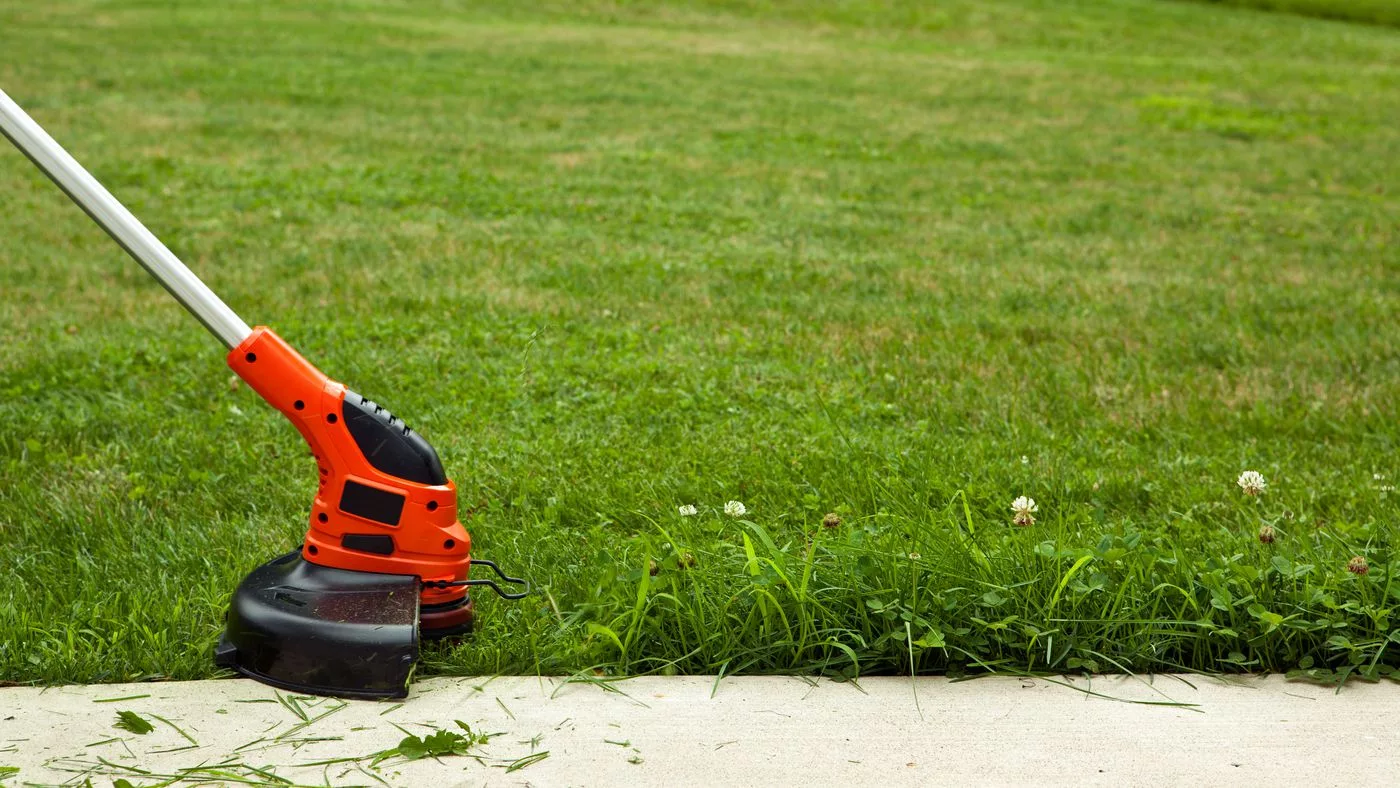 The Edge Trimmer
