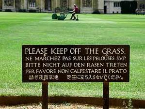 Sowing and tending the lawn