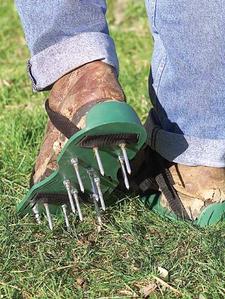 Aerate the lawn