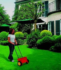 Fertilize the lawn