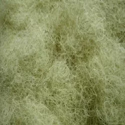 animal hair