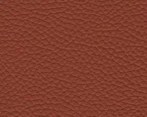 leather