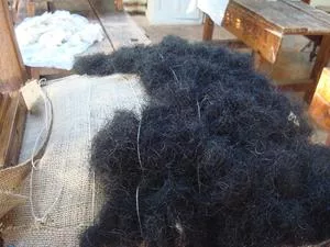 Padding horsehair ties support