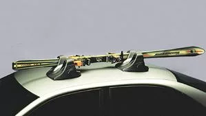 magnetic ski carrier