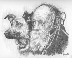 old dog