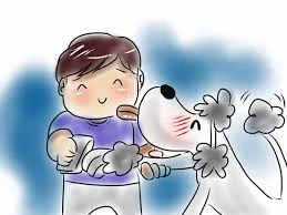 Dog paws and nails care