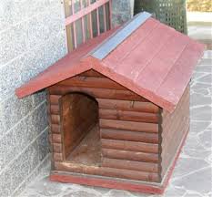 The dog's bed, a comfortable shelter