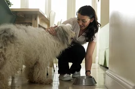 House feeding dog