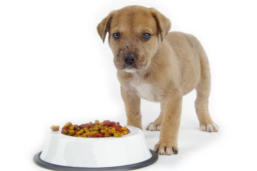 Wet, semi-wet or dry food