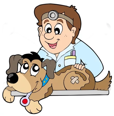 Dog care