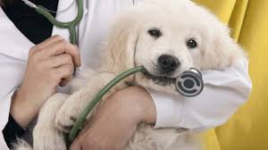 Behavioral medicine