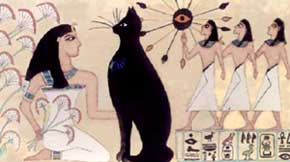 Domestication and history