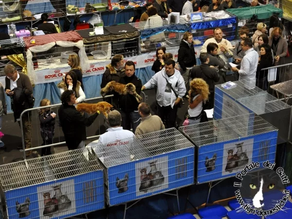 Attend an exhibition