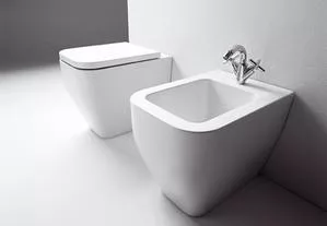 The toilet water closet