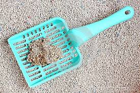 Cat litter
