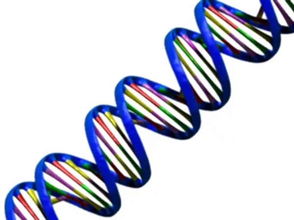 Genetics and cloak