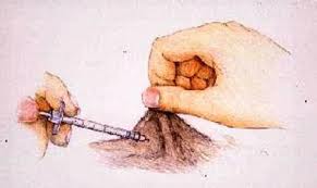 Cat drug administration