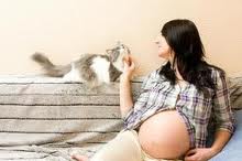 Toxoplasmosis