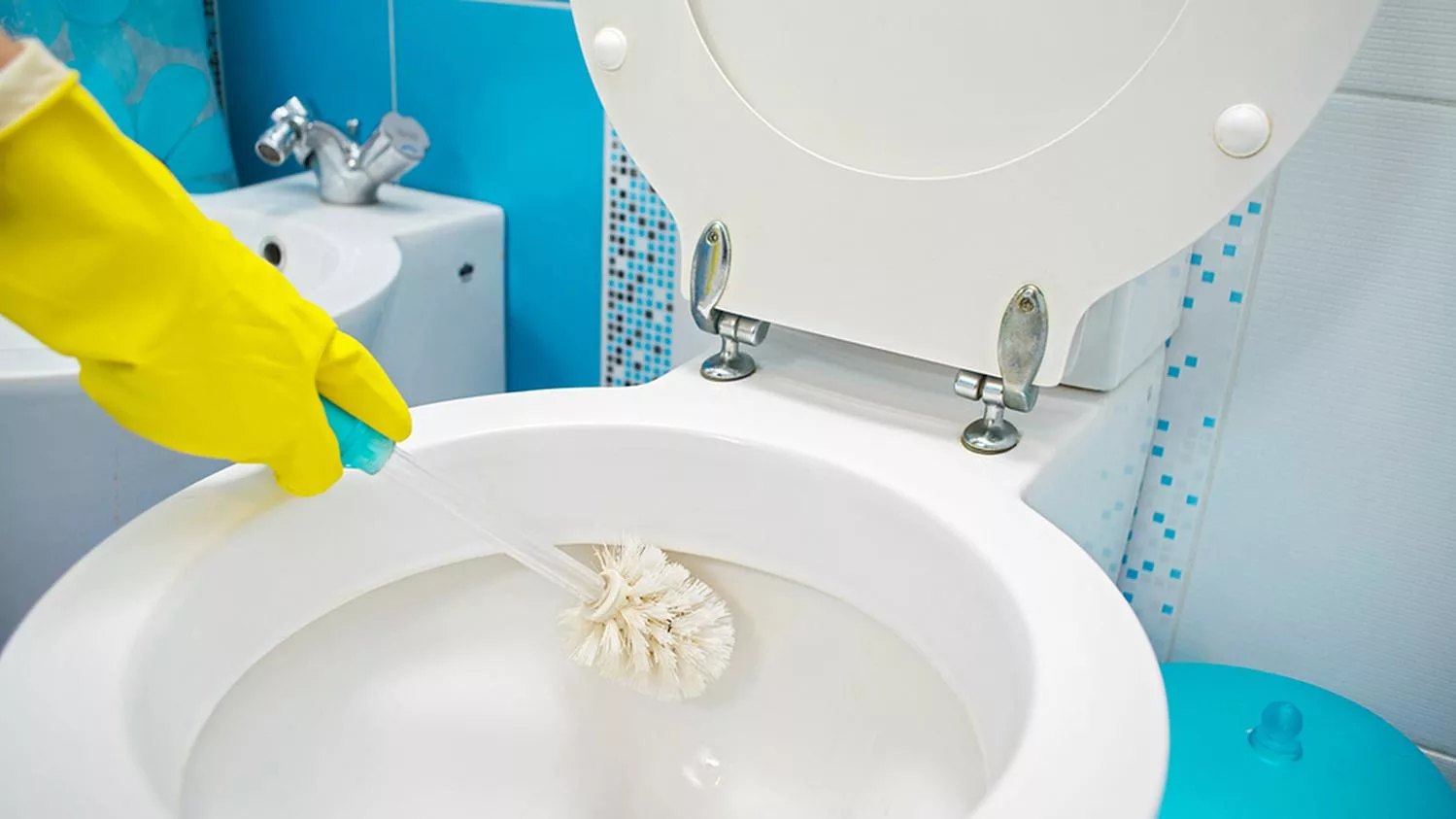 Cleaning the toilet