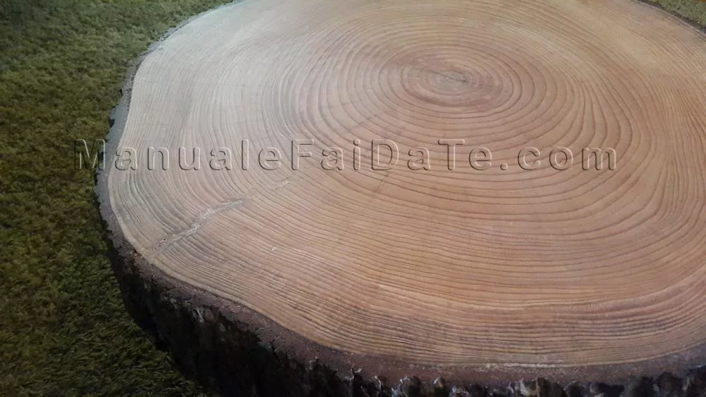 low trunk table