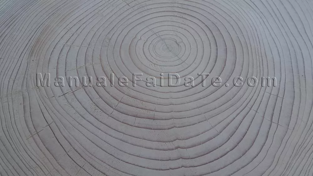 low trunk table
