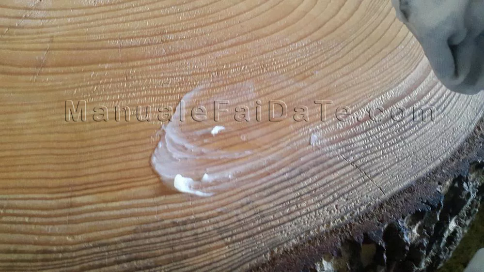 low trunk table