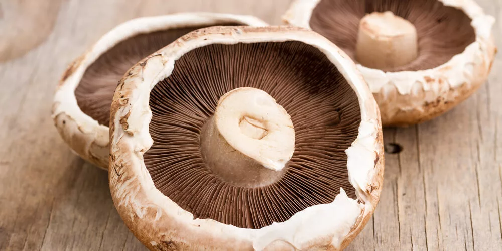 Grilled mushrooms