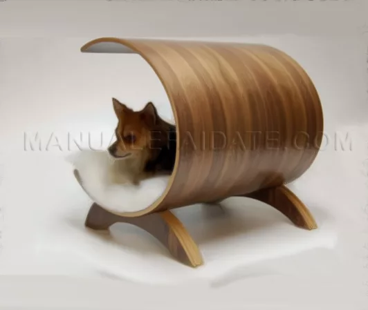 dog kennel