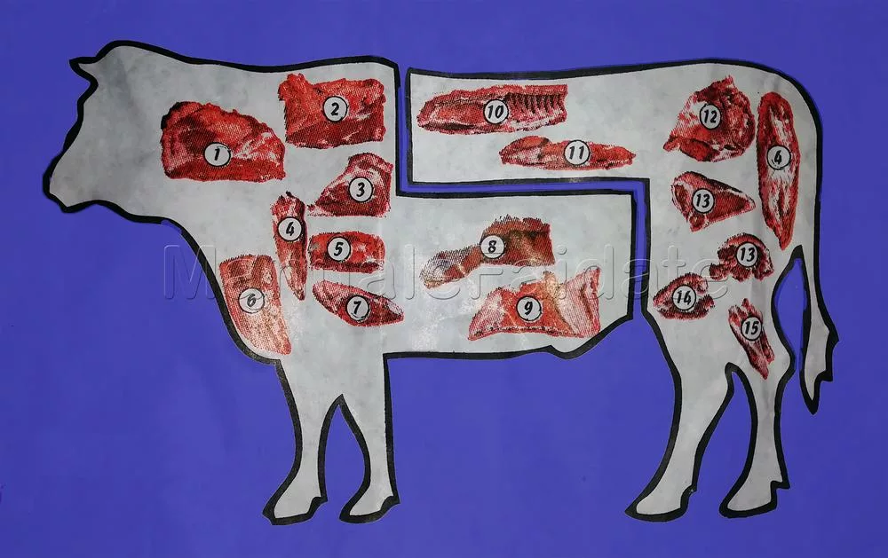 The main cuts of beef