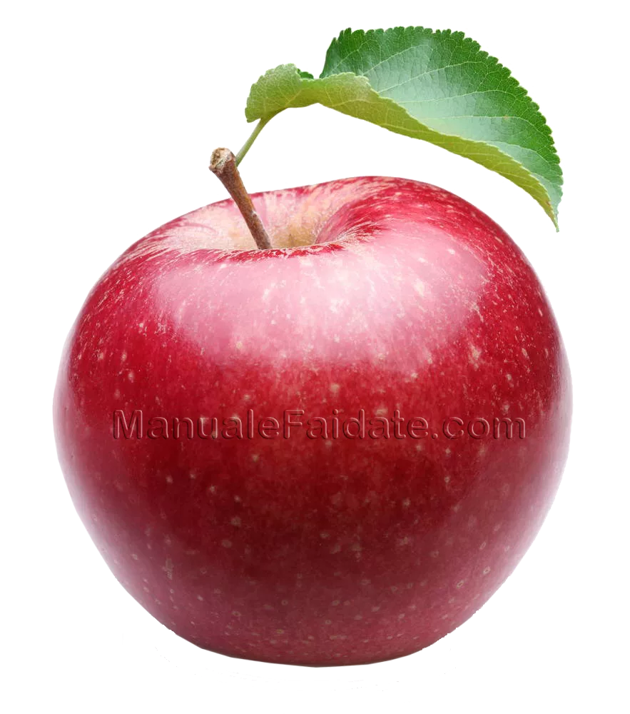 January seasonal fruit and vegetables