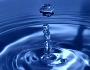 The water
